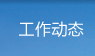 工作动态